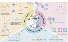 <b>包罗：近代物理研究所、化学物理研究所、西北</b>